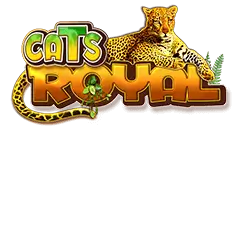 Голяма Cats Royal